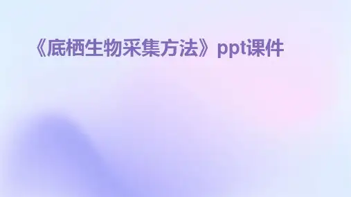 《底栖生物采集方法》课件
