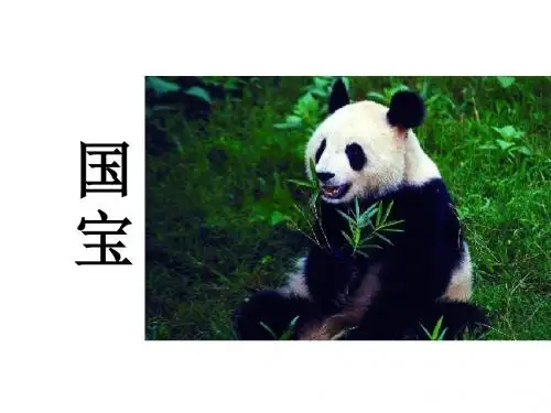 二年级语文上册 33 活化石(优秀课件)