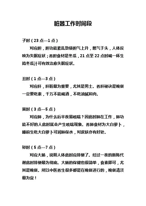 脏器工作时间段