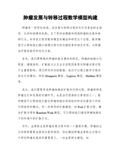 肿瘤发展与转移过程数学模型构建