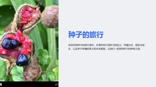 种子的旅行--课件