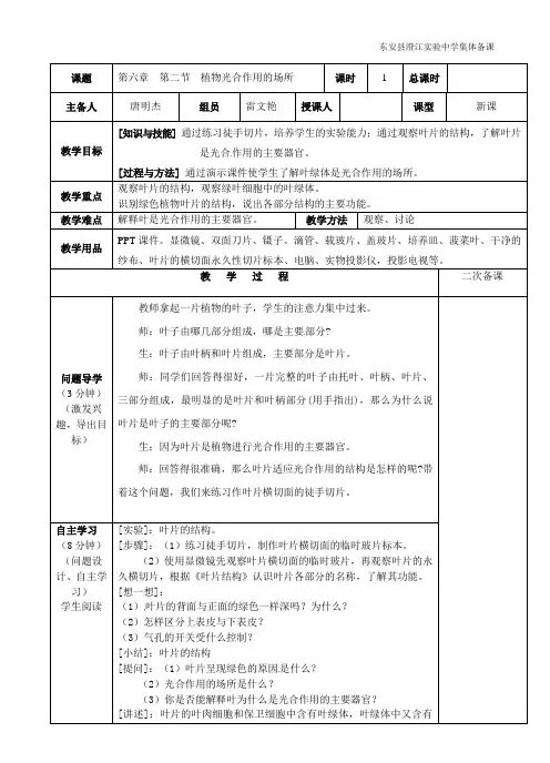 6.2植物光合作用的场所