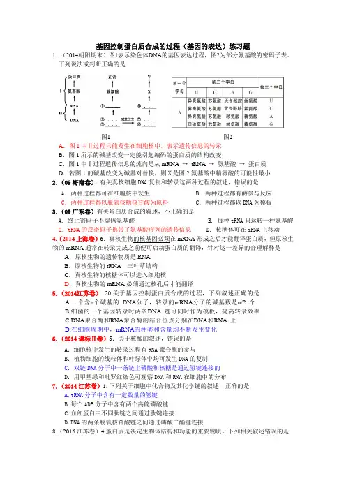 基因控制蛋白质合成的过程练习试题答案版