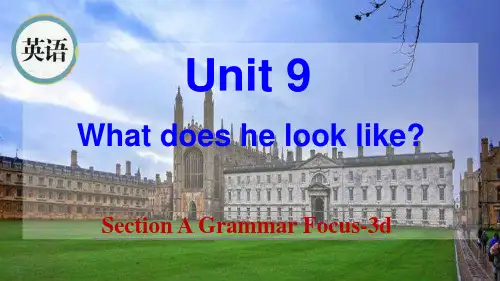 人教版英语七年级下册 Unit 9 Section A Grammar Focus-3d