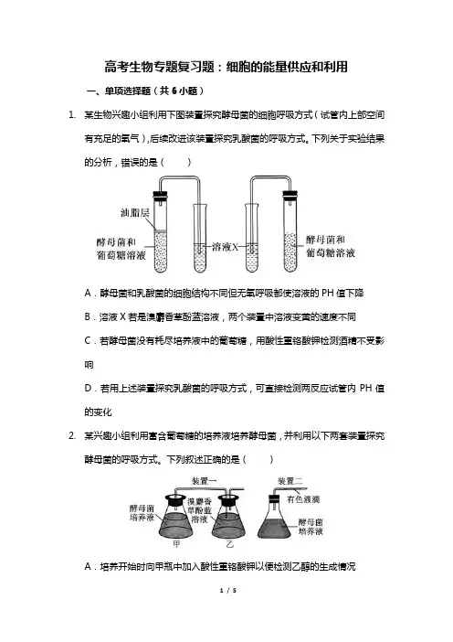 高考生物专题复习题：细胞的能量供应和利用