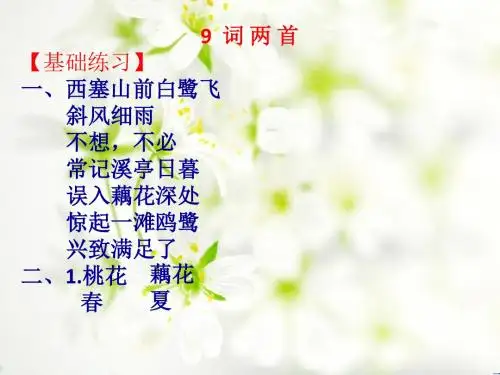 苏教版六年级语文下册《练习与测试》9词两首答案评讲PPT课件