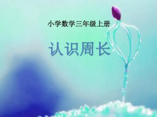 苏教版三年级上册数学《认识周长》课件