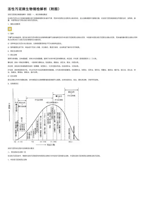 活性污泥微生物镜检解析（附图）