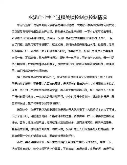 水泥企业生产过程关键控制点控制情况