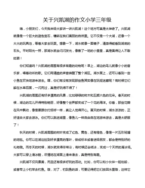 关于兴凯湖的作文小学三年级