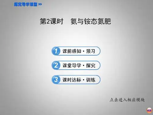 氨气与铵盐ppt课件