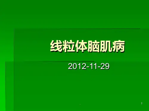 线粒体脑肌病ppt课件