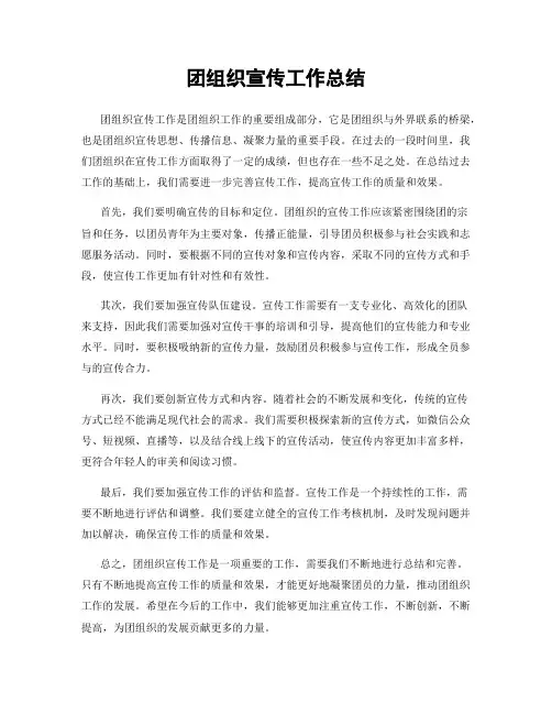 团组织宣传工作总结