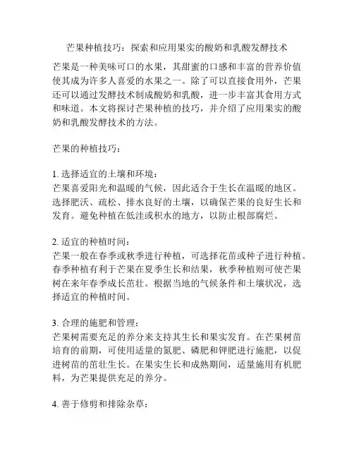 芒果种植技巧：探索和应用果实的酸奶和乳酸发酵技术