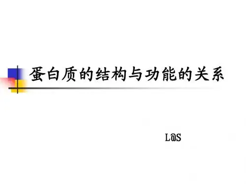 蛋白质结构与功能的关系