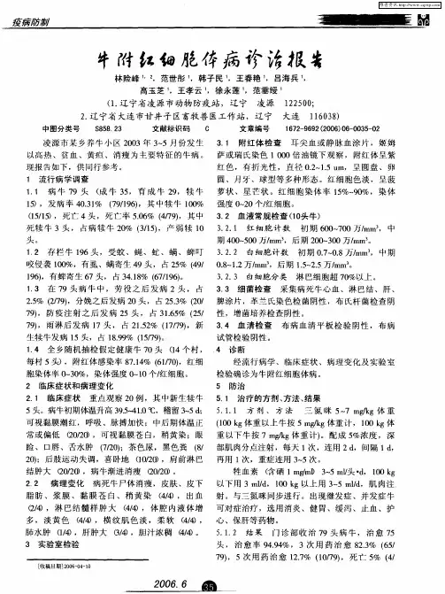 牛附红细胞体病诊治报告