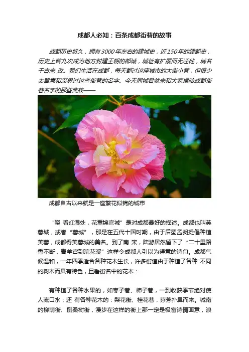 成都人必知：百条成都街巷的故事