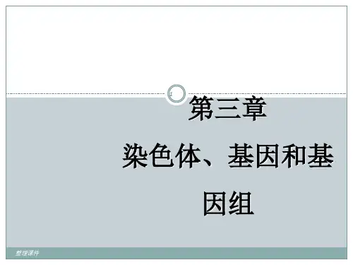 染色体基因组和基因ppt课件全篇