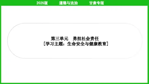 2025年中考道德与法治总复习第一部分考点精讲八年级上册第三单元勇担社会责任
