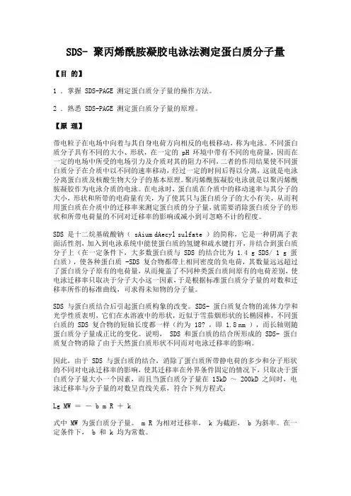 06 生物化学实验--SDS-聚丙烯酰胺凝胶电泳法测定蛋白质分子量
