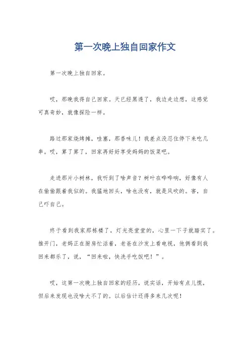 第一次晚上独自回家作文