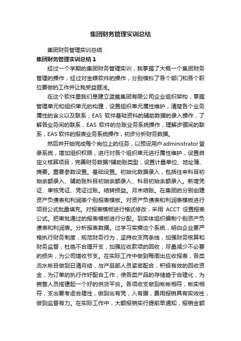 集团财务管理实训总结