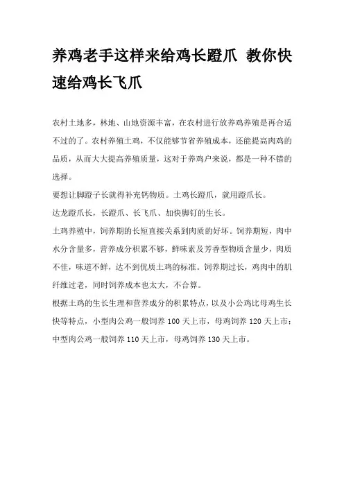 养鸡老手这样来给鸡长蹬爪 教你快速给鸡长飞爪