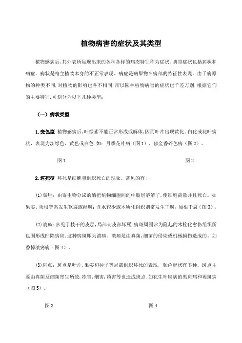 植物病害的症状及其类型