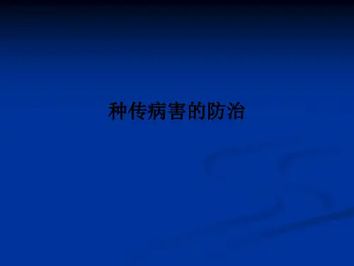 种传病害的防治PPT课件
