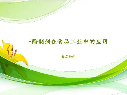 酶制剂及其主要应用