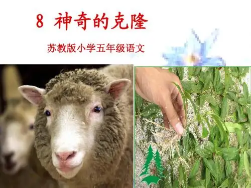 8_神奇的克隆(上课)ppt