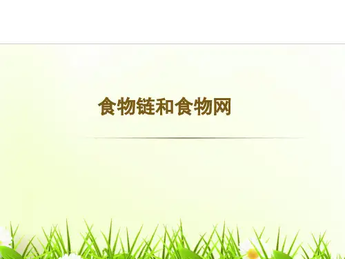 济南版八下生物课件6.2.2食物链和食物网 课件    (共22张PPT)