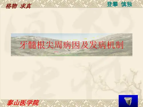 牙髓及根尖周病因及发病机制
