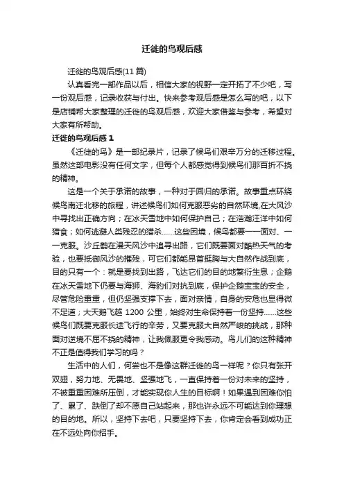 迁徙的鸟观后感