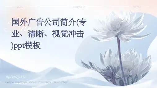国外广告公司简介(专业、清晰、视觉冲击)PPT模板