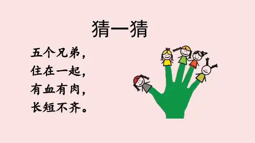 第22课 《手指》小学语文五年级下