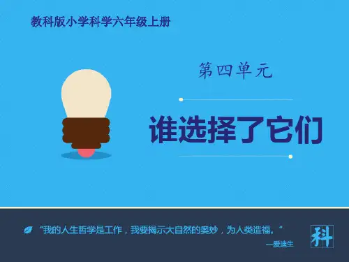 教科版六年级科学上册《谁选择了它们》PPT课件(8篇)