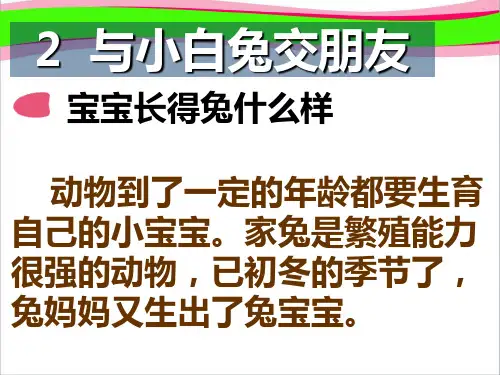 【大象版】小学科学四年级上册：5. 《与小白兔交朋友》ppt大赛获奖教学  省一等奖课件