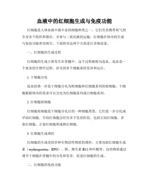 血液中的红细胞生成与免疫功能