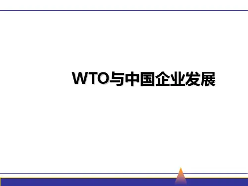 WTO、WTO规则与中国