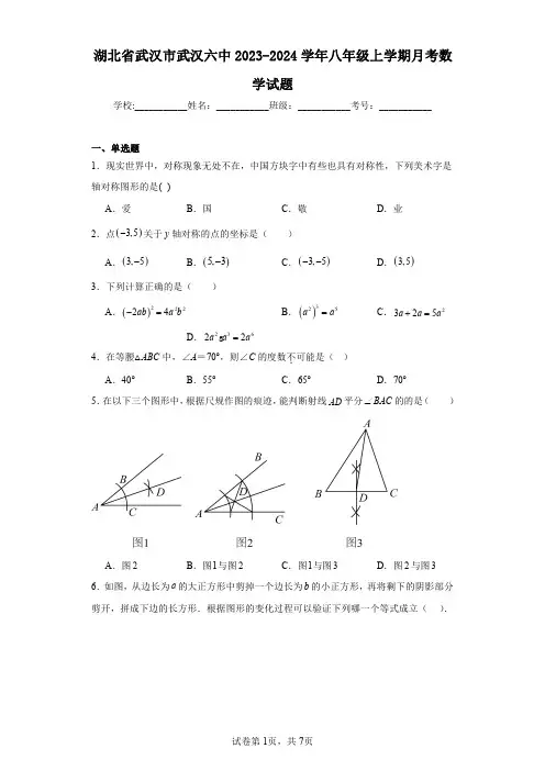 湖北省武汉市武汉六中2023-2024学年八年级上学期月考数学试题