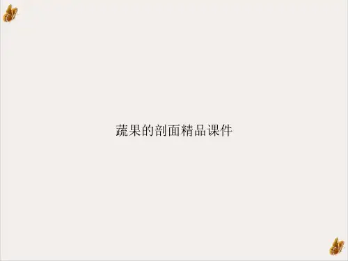 蔬果的剖面精品课件