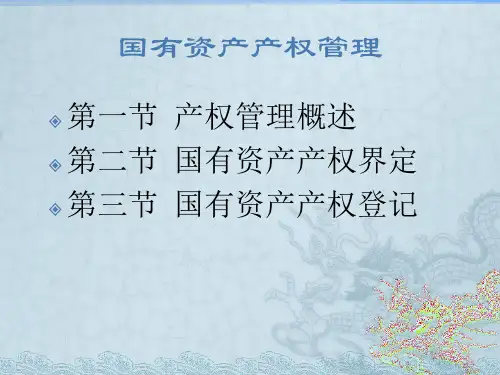 国有资产产权管理(PPT33页)