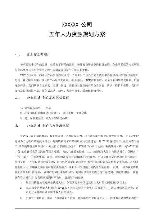 5年人力资源规划
