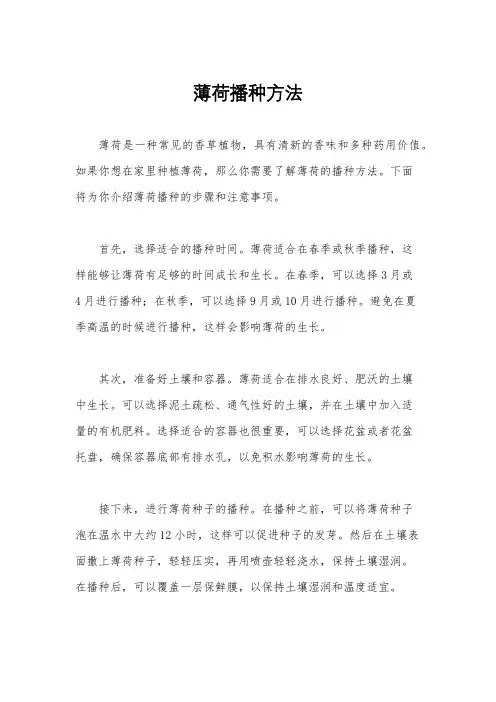 薄荷播种方法