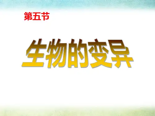 《生物的变异》PPT课件