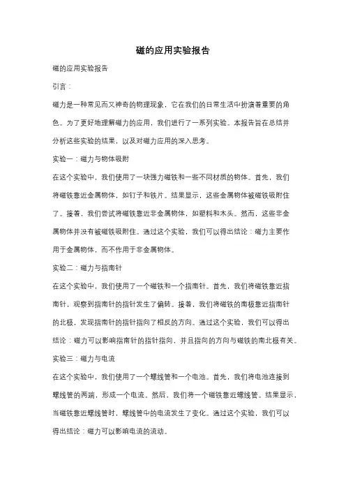 磁的应用实验报告