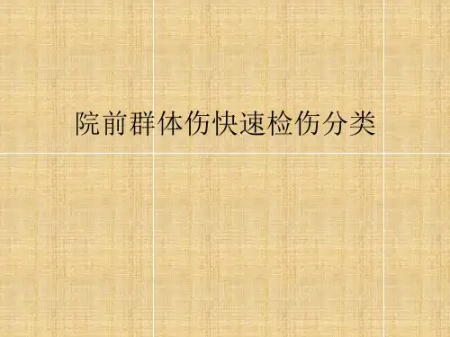 院前群体伤现场检伤分类ppt课件