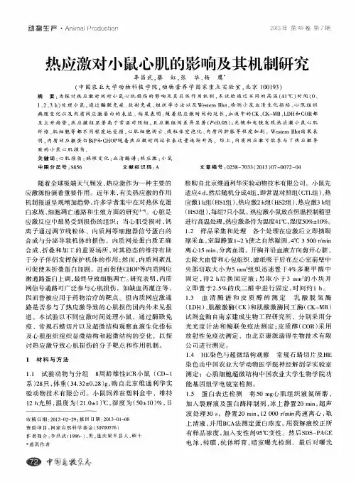 热应激对小鼠心肌的影响及其机制研究