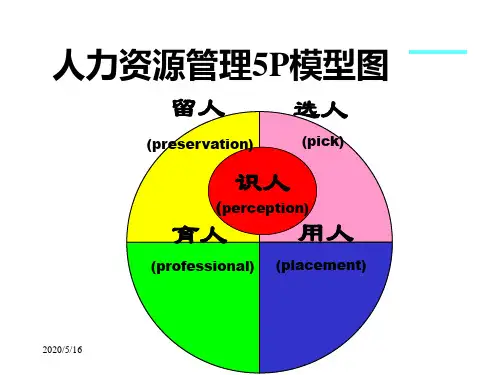 人力资源管理5P模型图